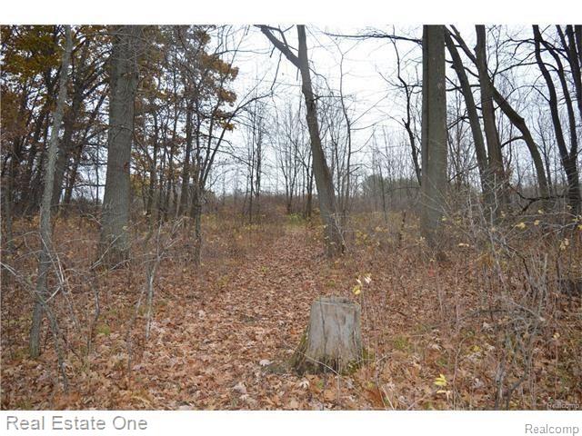 Par B Musson Road Howell, MI 48855 - Photo 17 of 28