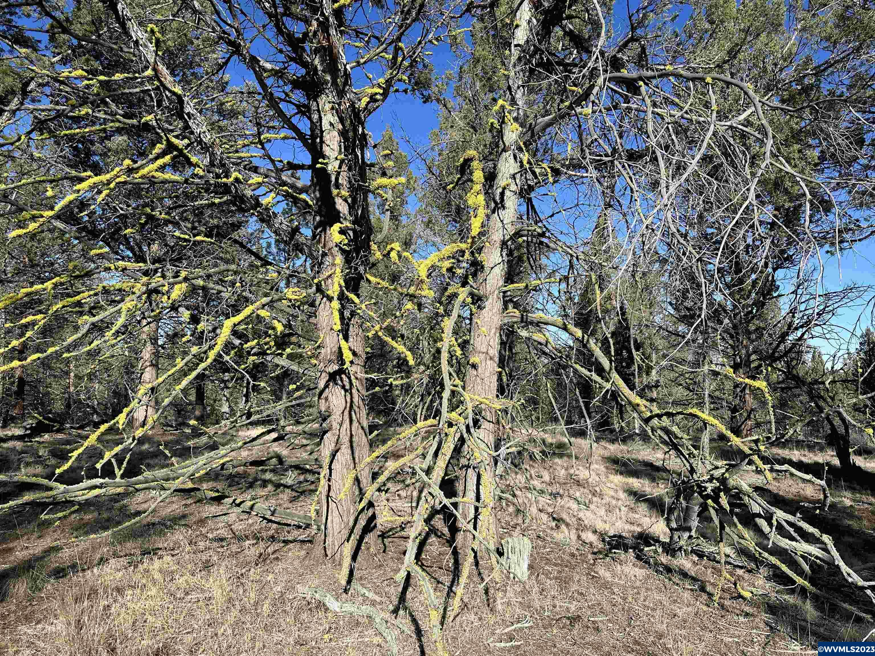 1300 Fishhole Creek Road Bly, OR 97622 - Photo 17 of 25