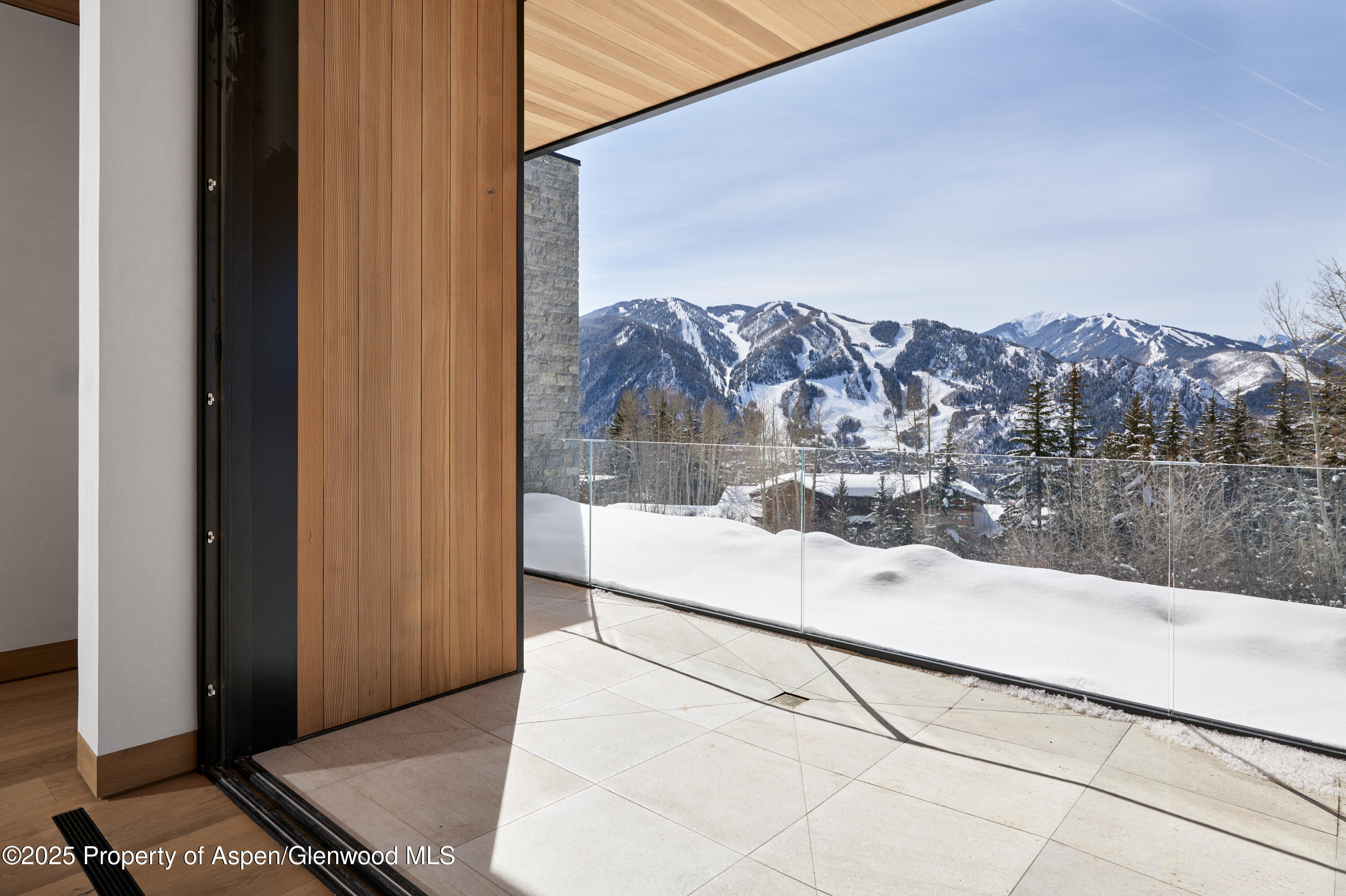 395 East Reds Road Aspen, CO 81612 - Photo 21 of 51 a view of a terrace with a sink