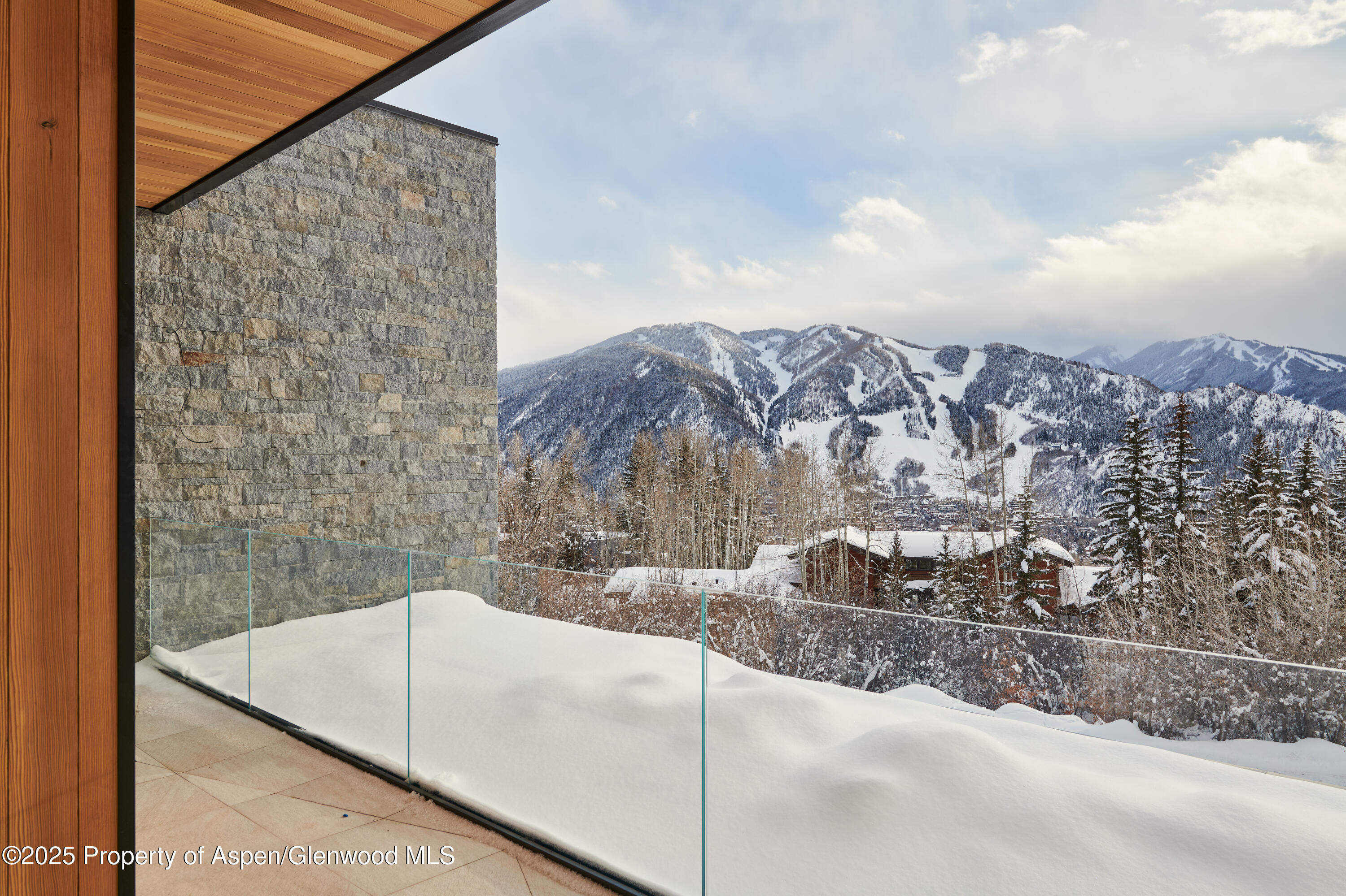 395 East Reds Road Aspen, CO 81612 - Photo 22 of 51 a view of roof and tree