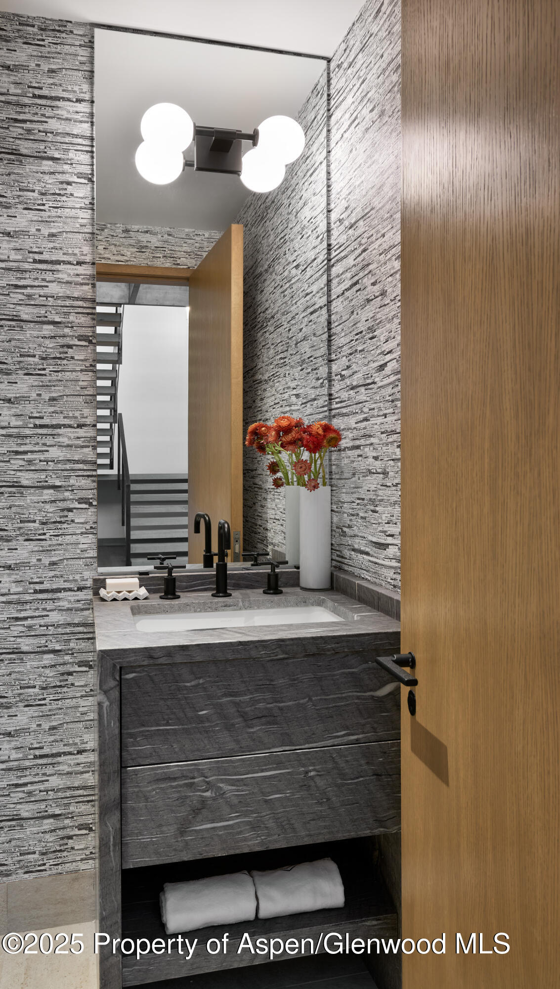 395 East Reds Road Aspen, CO 81612 - Photo 45 of 51 Lower Level Powder