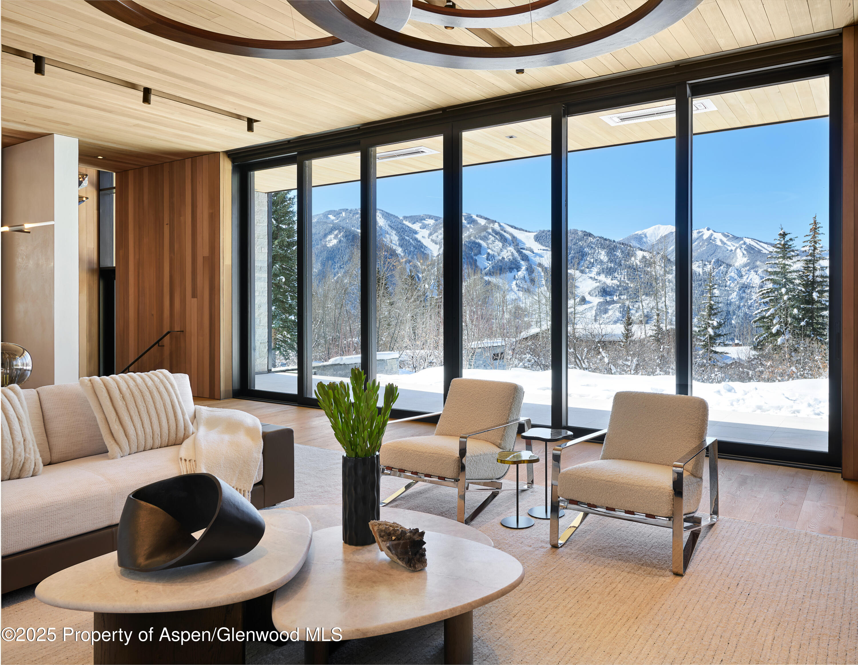 395 East Reds Road Aspen, CO 81612 - Photo 5 of 51 a living room with furniture and a large window