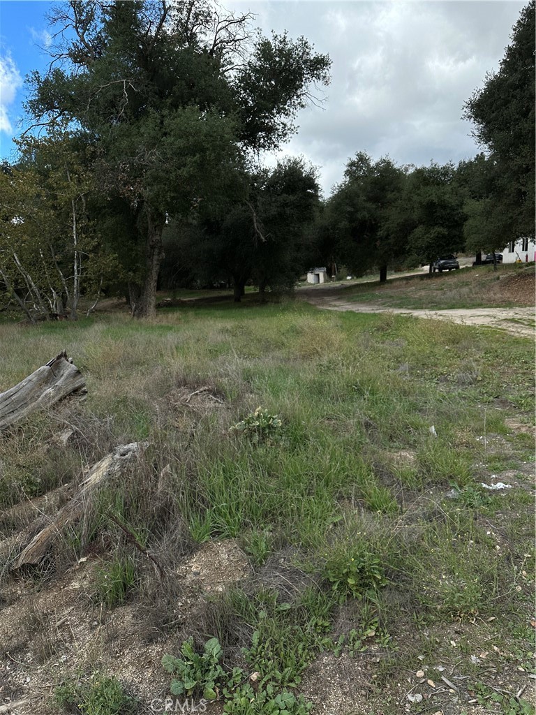 34930 East Benton Road Hemet, CA 92544 - Photo 11 of 54 View of parcel.