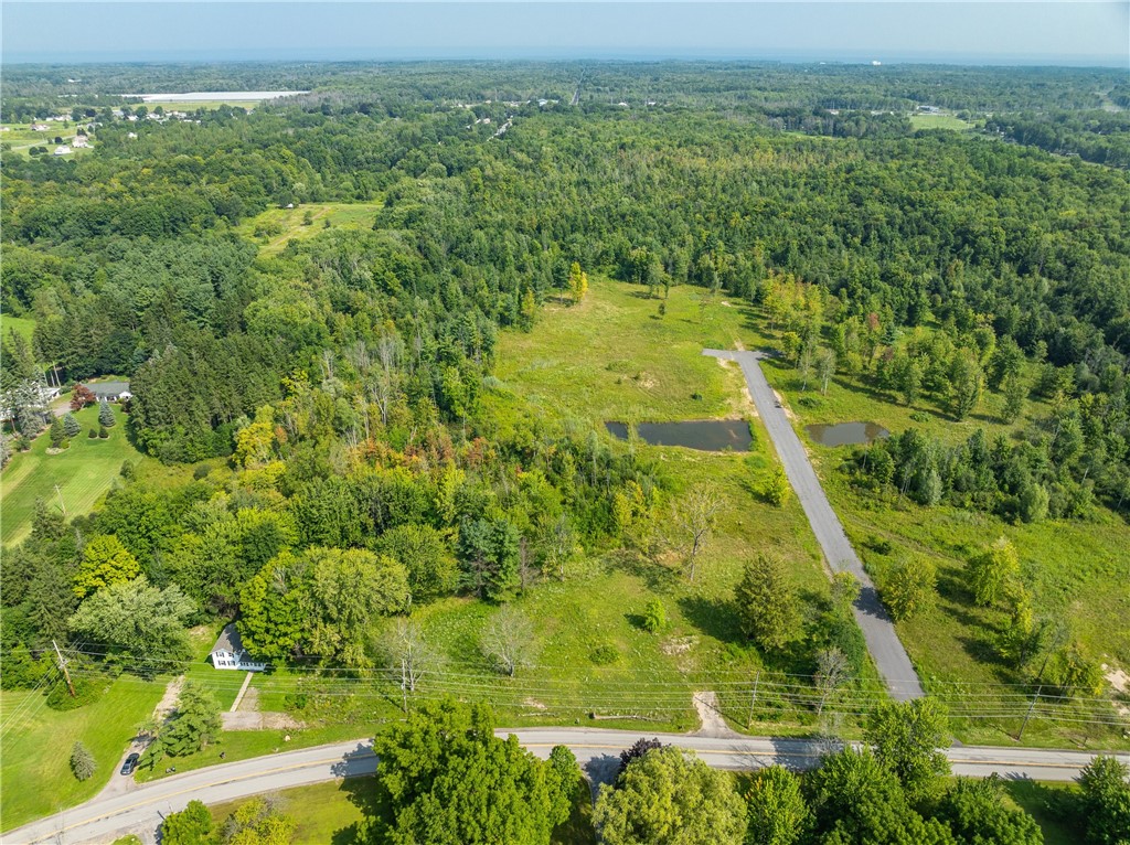Lot 5 Clevenger Road Ontario, NY 14519 - Photo 6 of 7