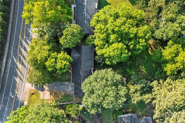 a view of a garden with plants