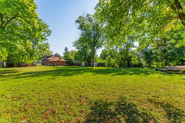 a view of a park with large trees