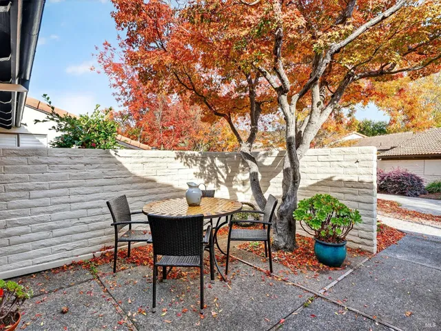 a view of a house with a potted plant