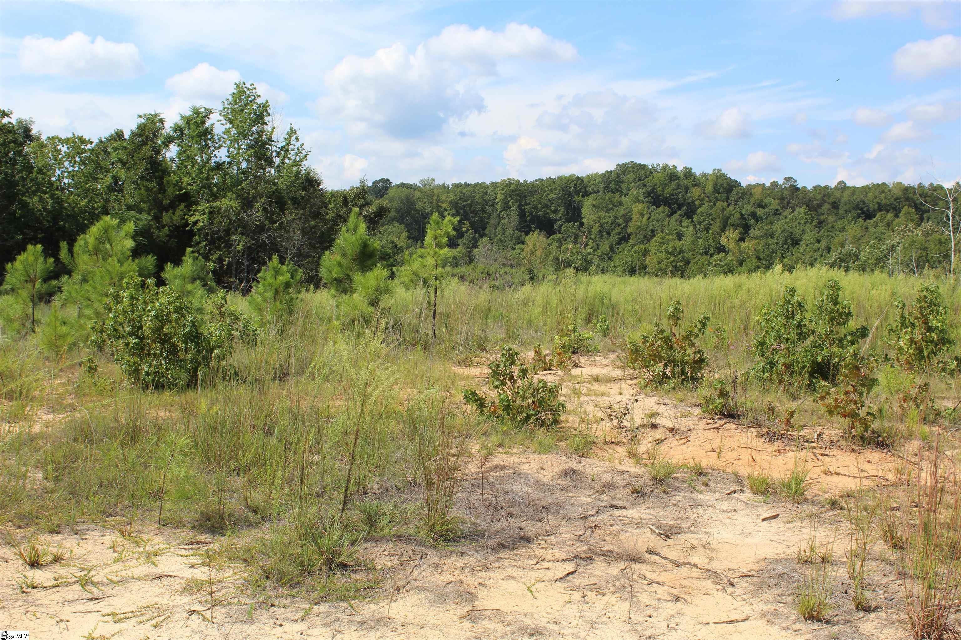 2463 State Rd S-30-82, Unit STATE ROAD S3082 Laurens, SC 29360 - Photo 11 of 22 Gallery Image 11
