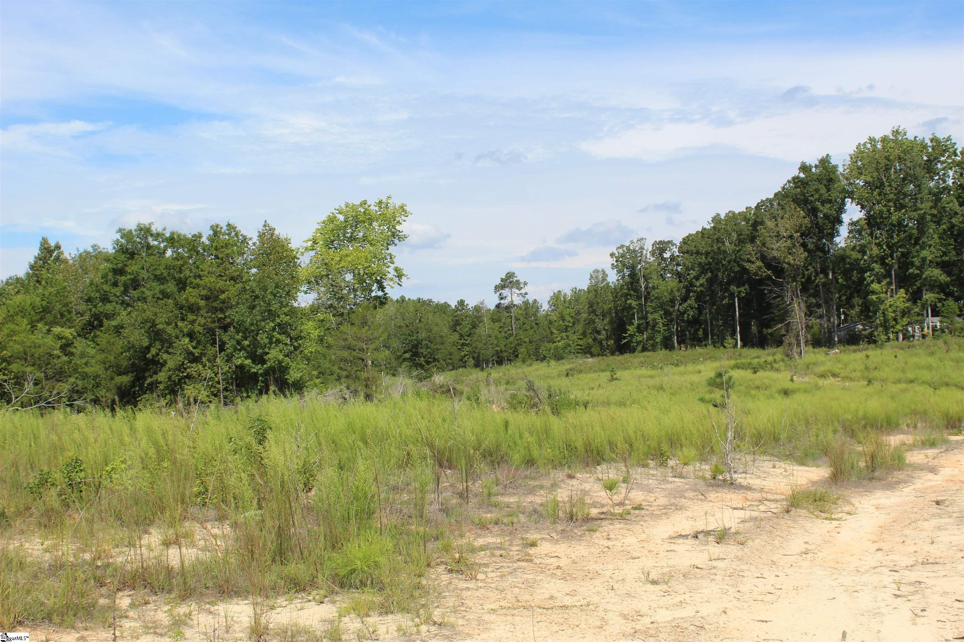 2463 State Rd S-30-82, Unit STATE ROAD S3082 Laurens, SC 29360 - Photo 13 of 22 Gallery Image 13