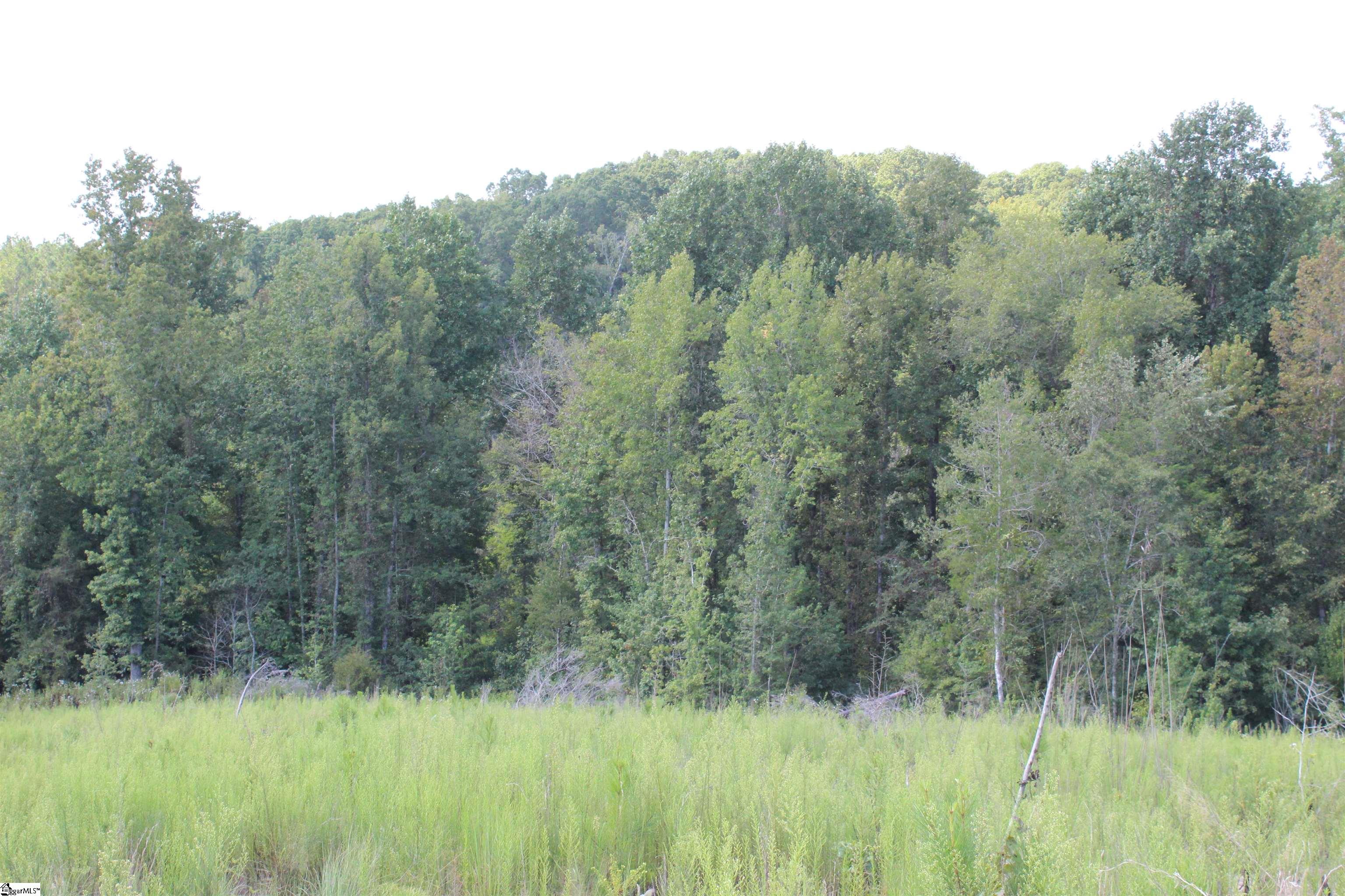 2463 State Rd S-30-82, Unit STATE ROAD S3082 Laurens, SC 29360 - Photo 14 of 22 Gallery Image 14