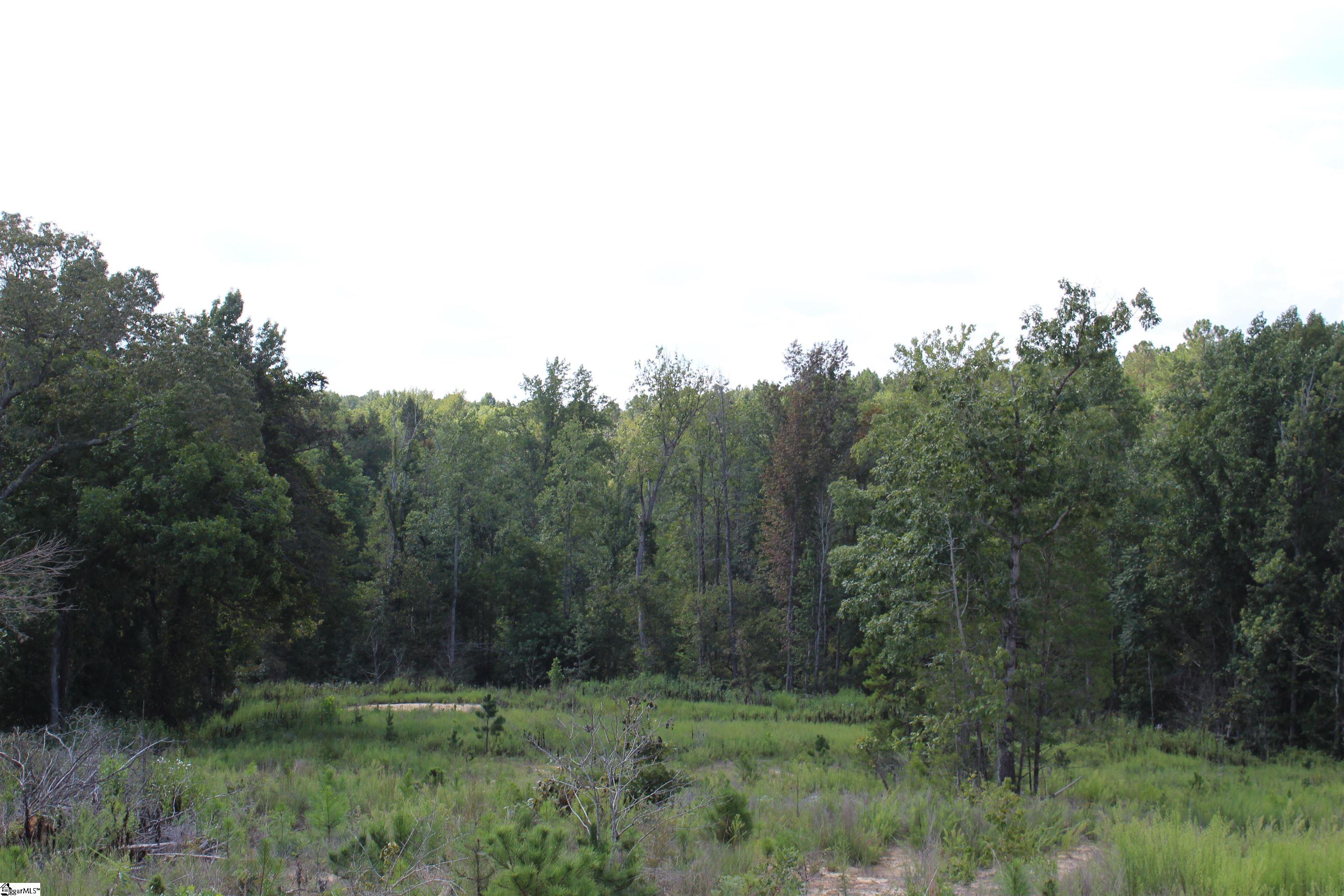 2463 State Rd S-30-82, Unit STATE ROAD S3082 Laurens, SC 29360 - Photo 16 of 22 Gallery Image 16
