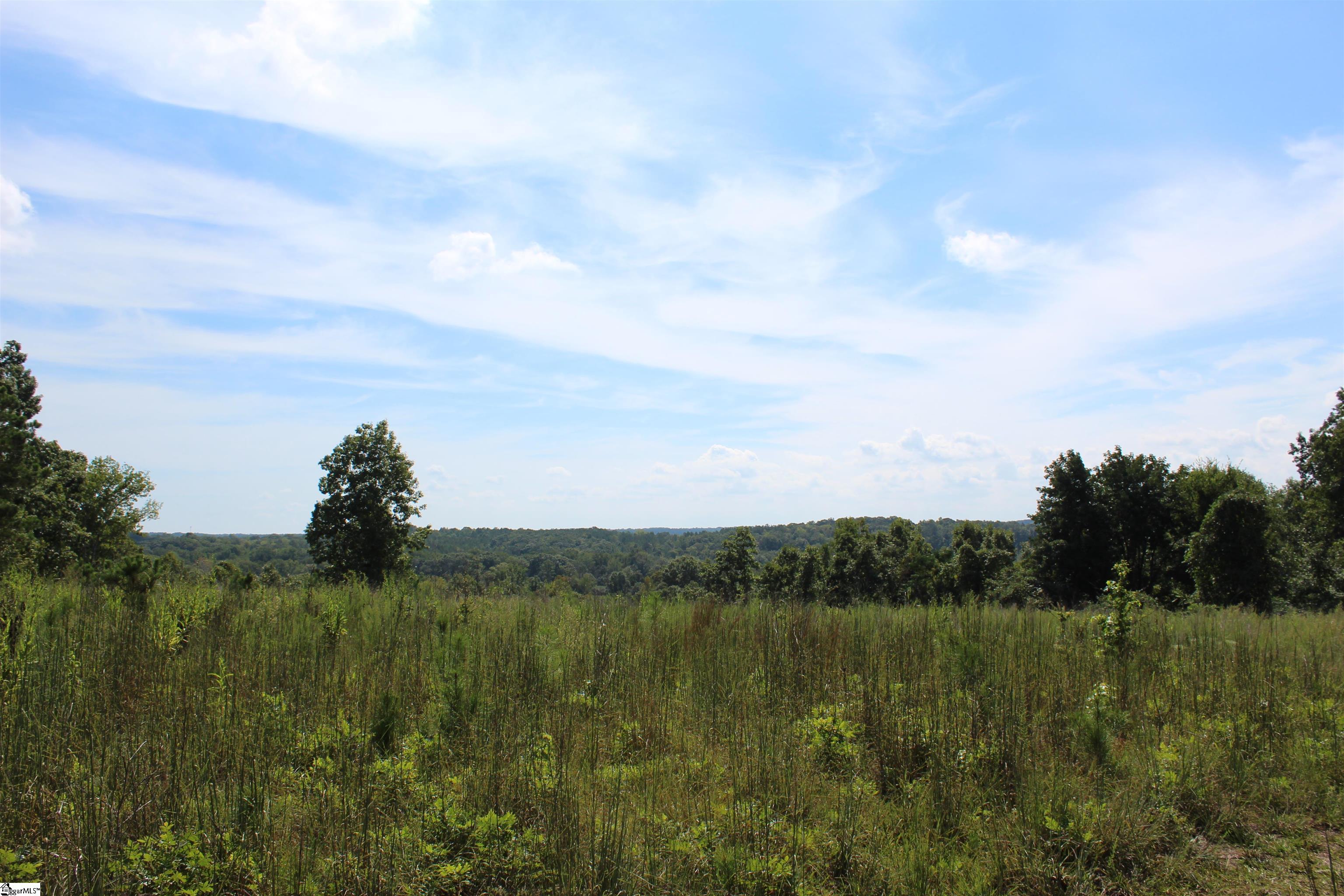 2463 State Rd S-30-82, Unit STATE ROAD S3082 Laurens, SC 29360 - Photo 2 of 22 Gallery Image 2