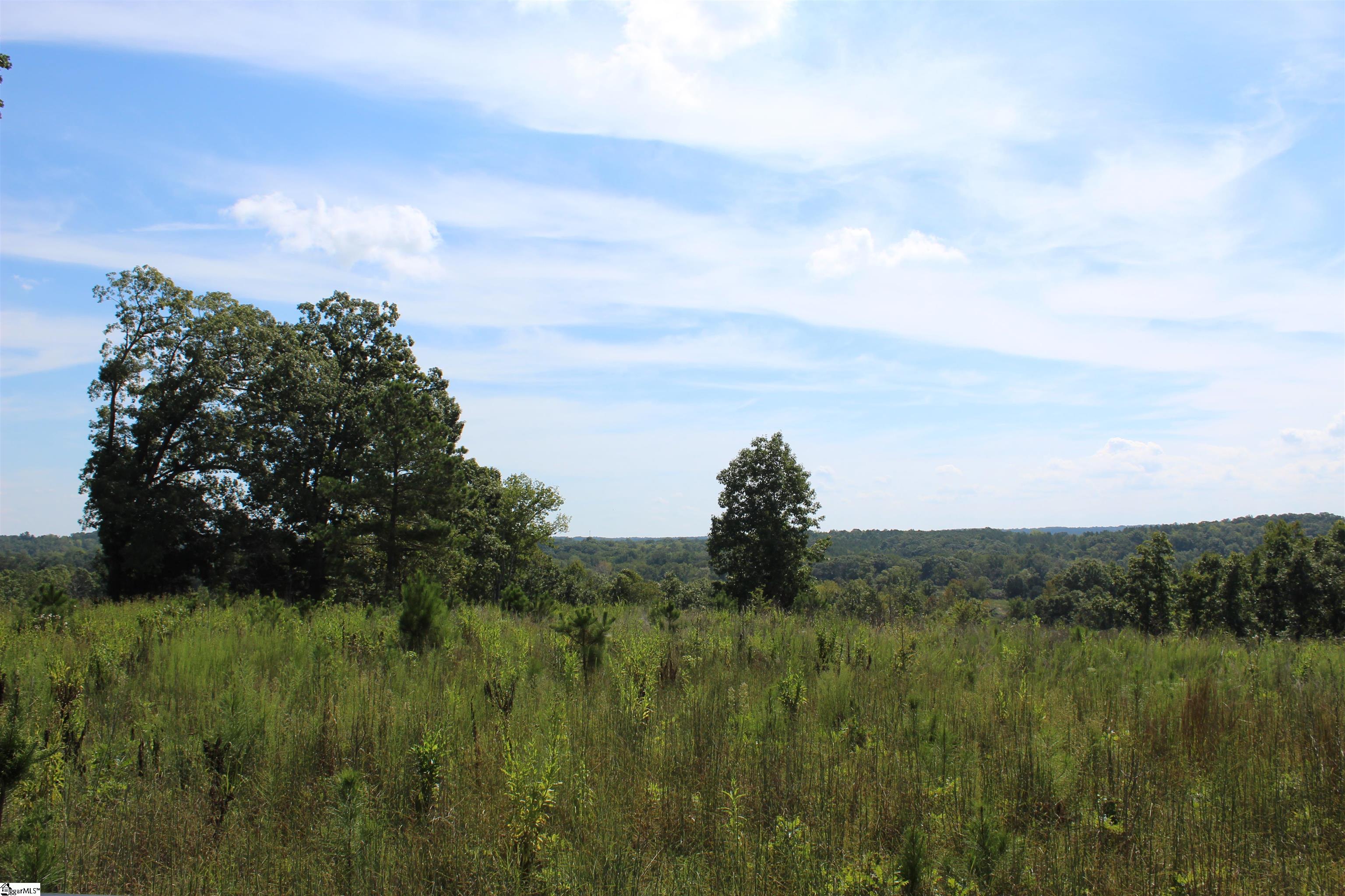 2463 State Rd S-30-82, Unit STATE ROAD S3082 Laurens, SC 29360 - Photo 3 of 22 Gallery Image 3