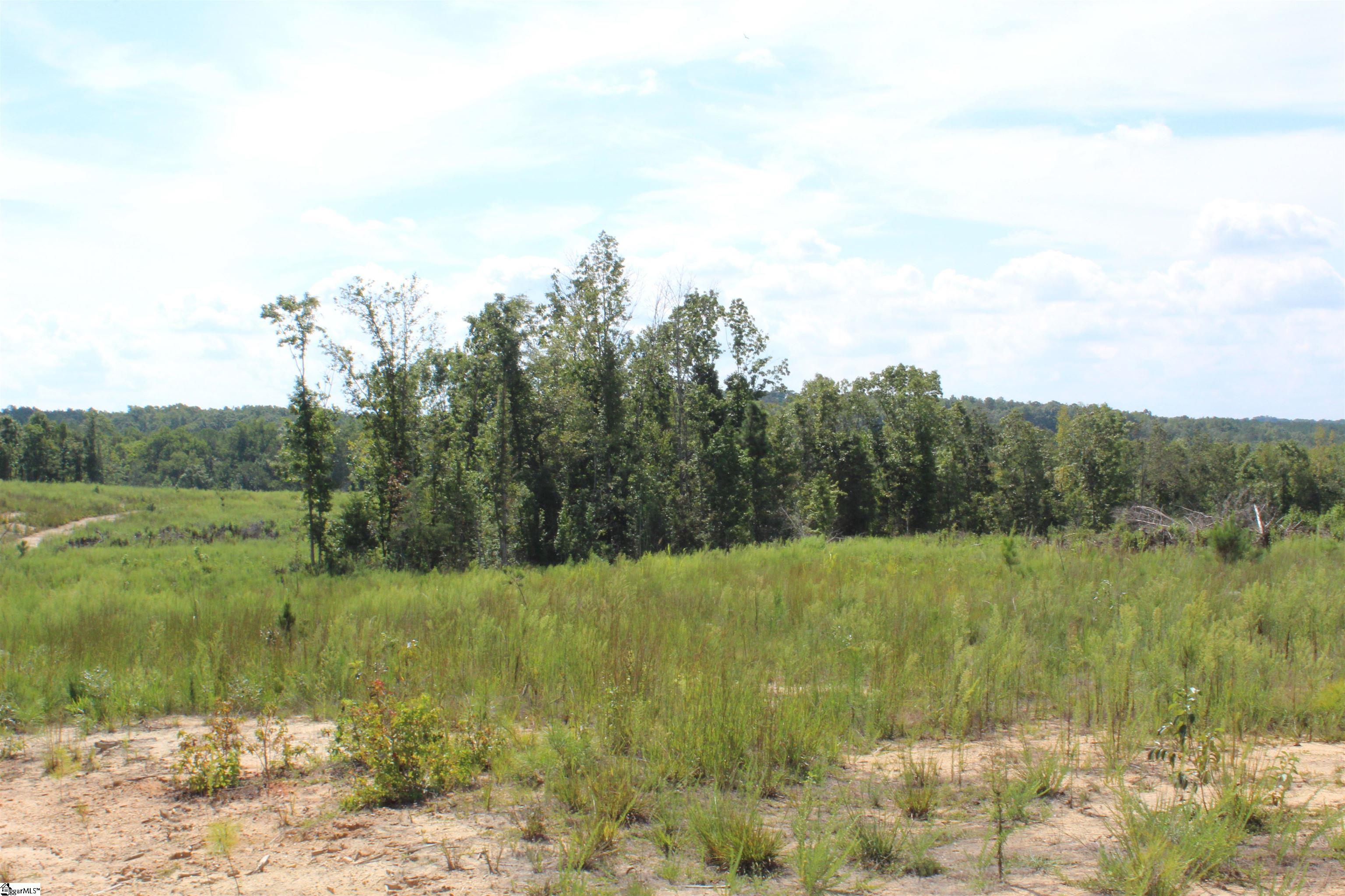 2463 State Rd S-30-82, Unit STATE ROAD S3082 Laurens, SC 29360 - Photo 9 of 22 Gallery Image 9