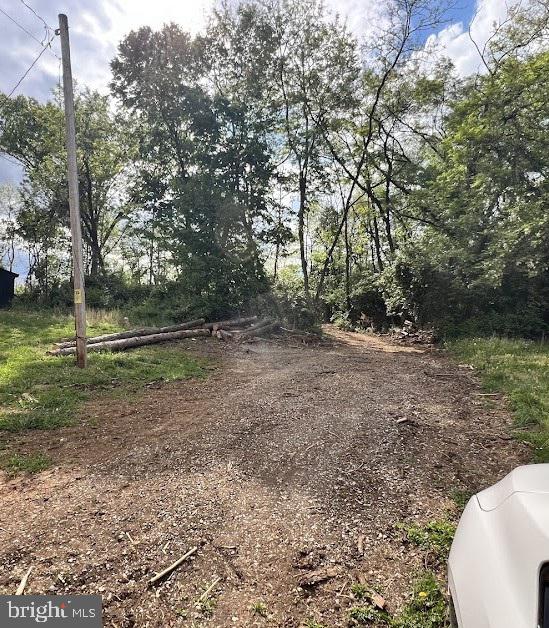 370-382 Kerns Street Inwood, WV 25428 - Photo 11 of 13 Serene woodland path awaits exploration.
