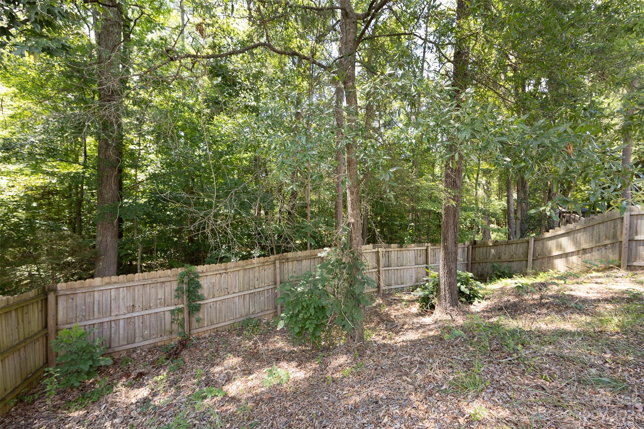 807 Rook Road Charlotte, NC 28216 - Photo 43 of 43 a backyard of a house with lots of trees