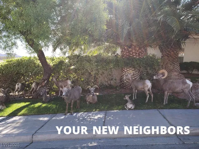 $2,000 | 687 Marina Drive, Unit 41, Boulder City, NV 89005