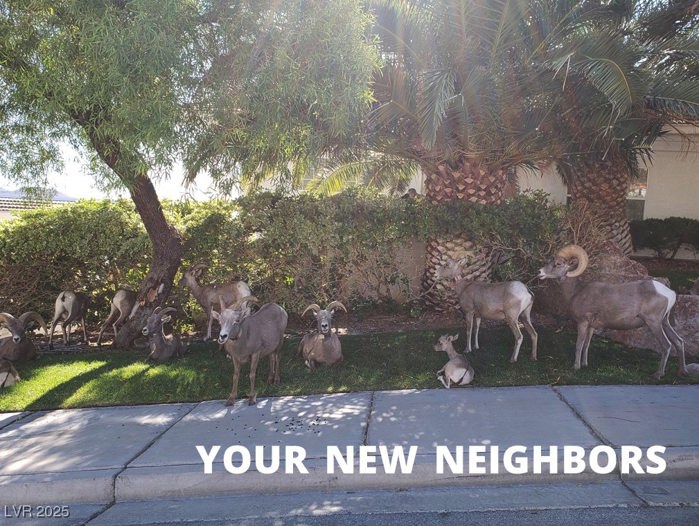 687 Marina Drive, Unit 41 Boulder City, NV 89005 - Photo 1 of 16 MOVE TO BOULDER ??? AND BECOME A LIFE STYLE