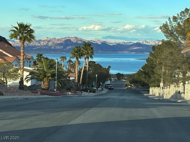 687 Marina Drive, Unit 41 Boulder City, NV 89005 - Photo 2 of 16 5 MINUTE WALK TO THE PARK TO FEED THE BIG HORN SHEEP