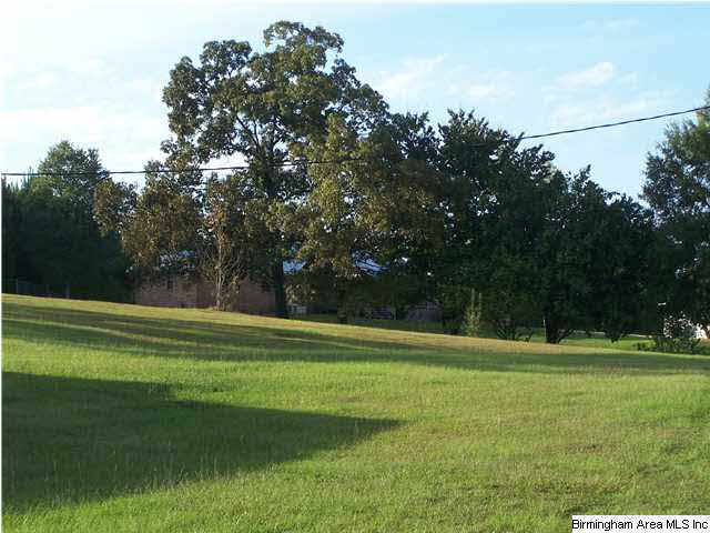 Donna Drive McCalla, AL 35111 - Photo 1 of 1