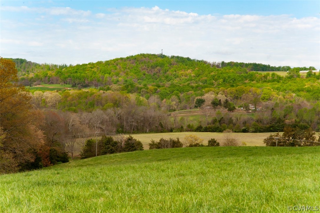Tbd Madison Run Road Orange, VA 22960 - Photo 1 of 26 Gallery Image 1