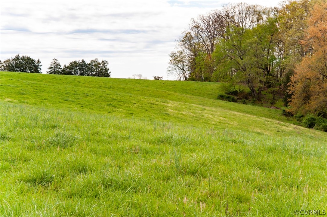 Tbd Madison Run Road Orange, VA 22960 - Photo 11 of 26 Gallery Image 11