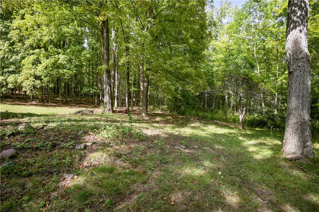 200 Davis Mountain Road Rensselaerville, NY 12460 - Photo 12 of 36