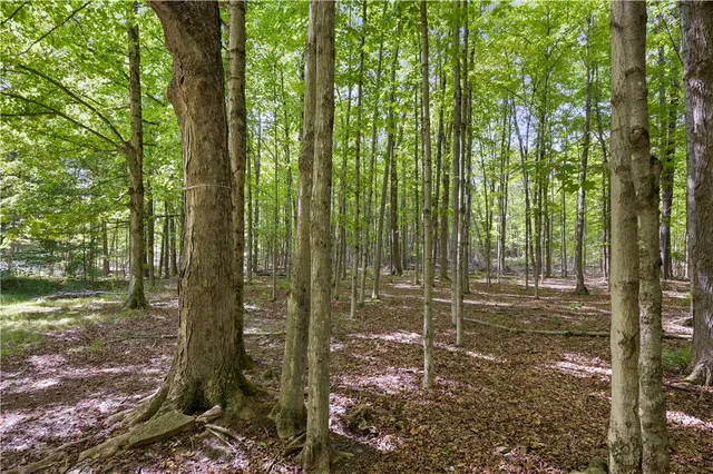 $110,000 | 200 Davis Mountain Road, Rensselaerville, NY 12460