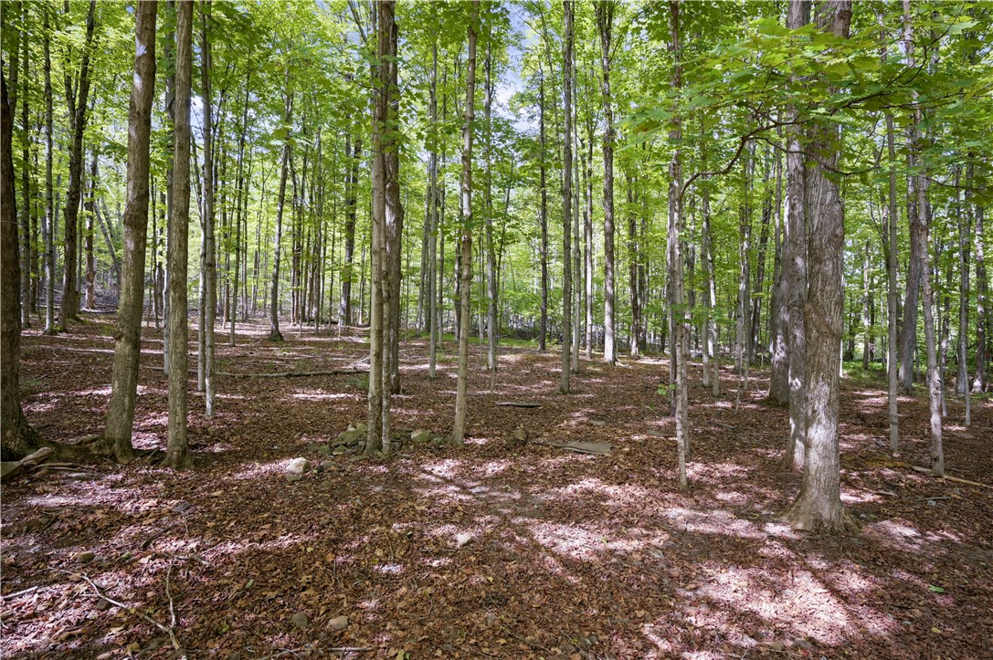 200 Davis Mountain Road Rensselaerville, NY 12460 - Photo 33 of 36