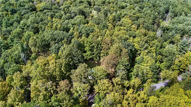 $110,000 | 200 Davis Mountain Road, Rensselaerville, NY 12460