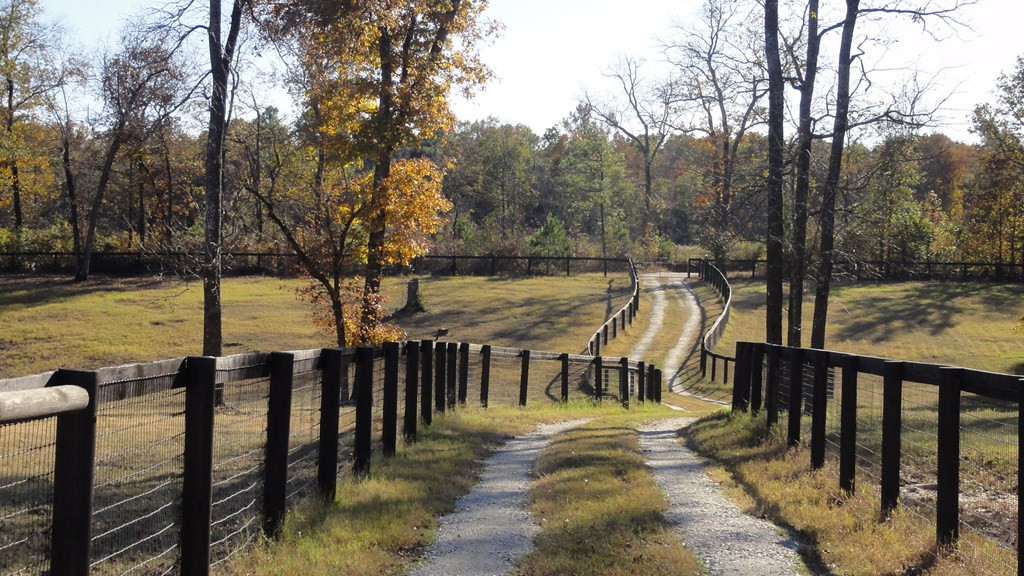 141-171 Fox Pond Road Aiken, SC 29801 - Photo 4 of 19