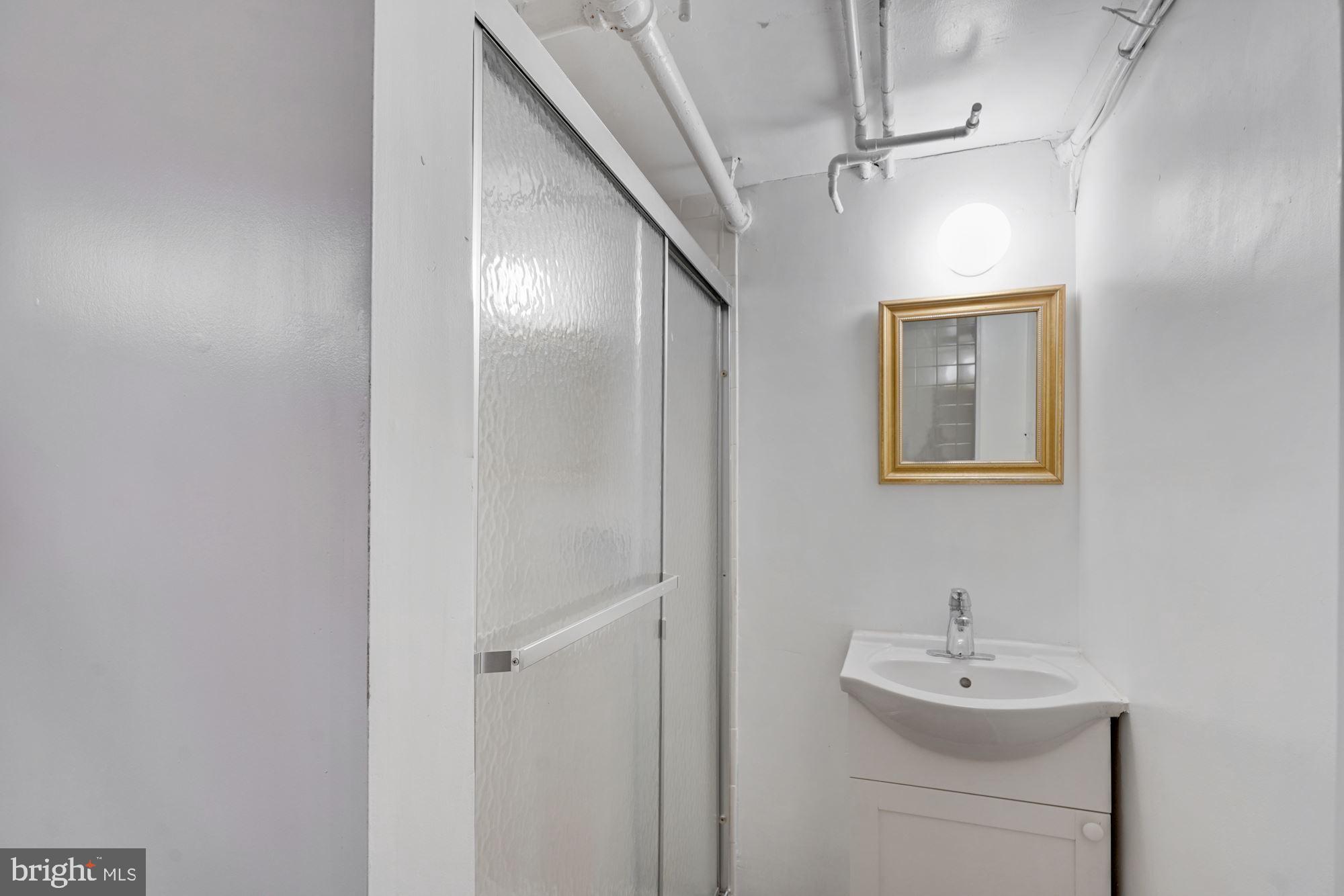 3209 19th Road North Arlington, VA 22201 - Photo 28 of 35 a bathroom with a sink a mirror and a shower