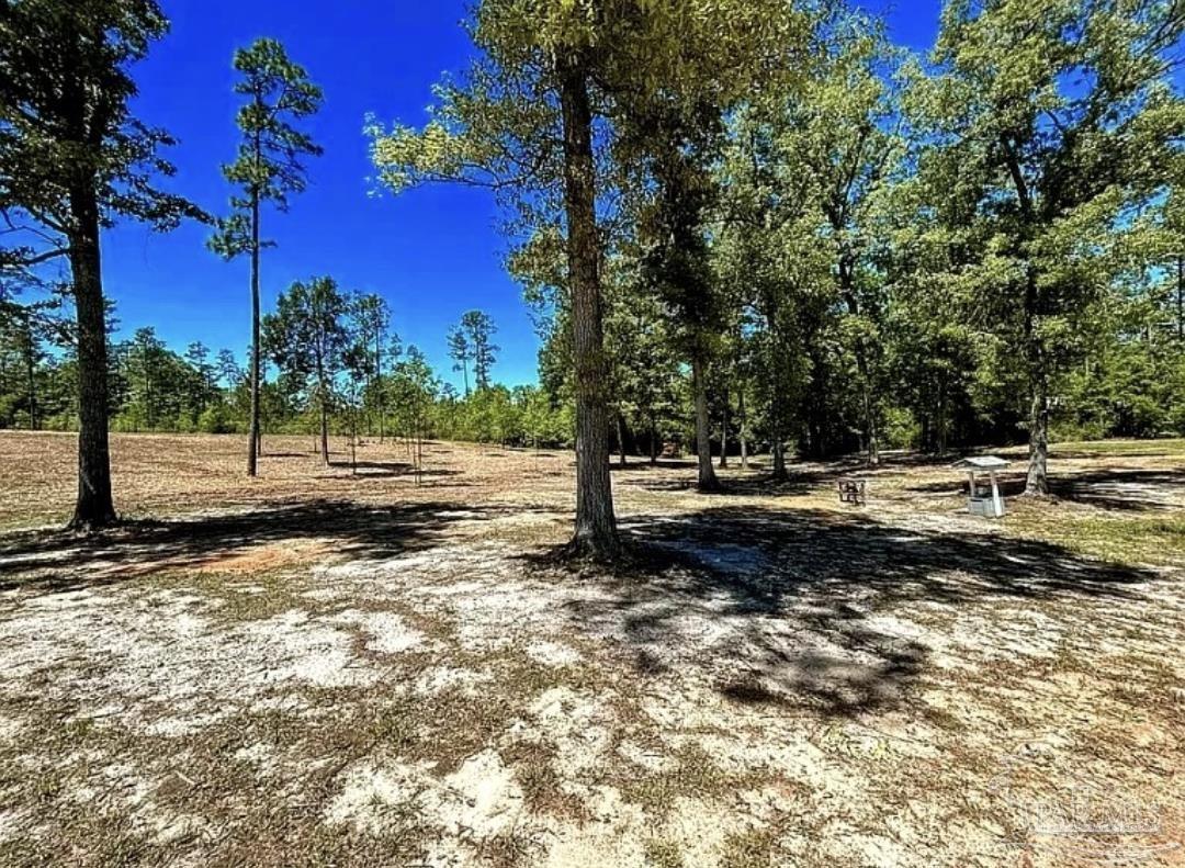 46811 Phillipsville Road Bay Minette, AL 36507 - Photo 43 of 71