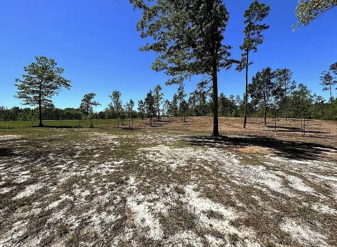 46811 Phillipsville Road Bay Minette, AL 36507 - Photo 44 of 71