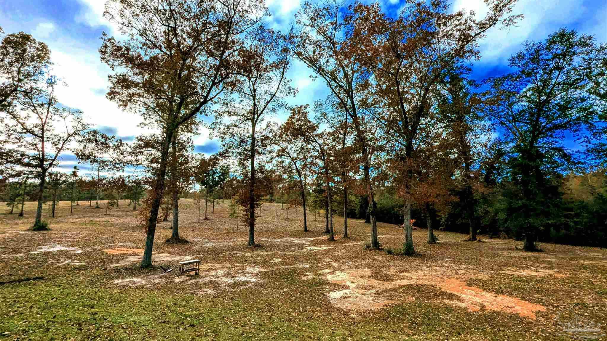 46811 Phillipsville Road Bay Minette, AL 36507 - Photo 52 of 71