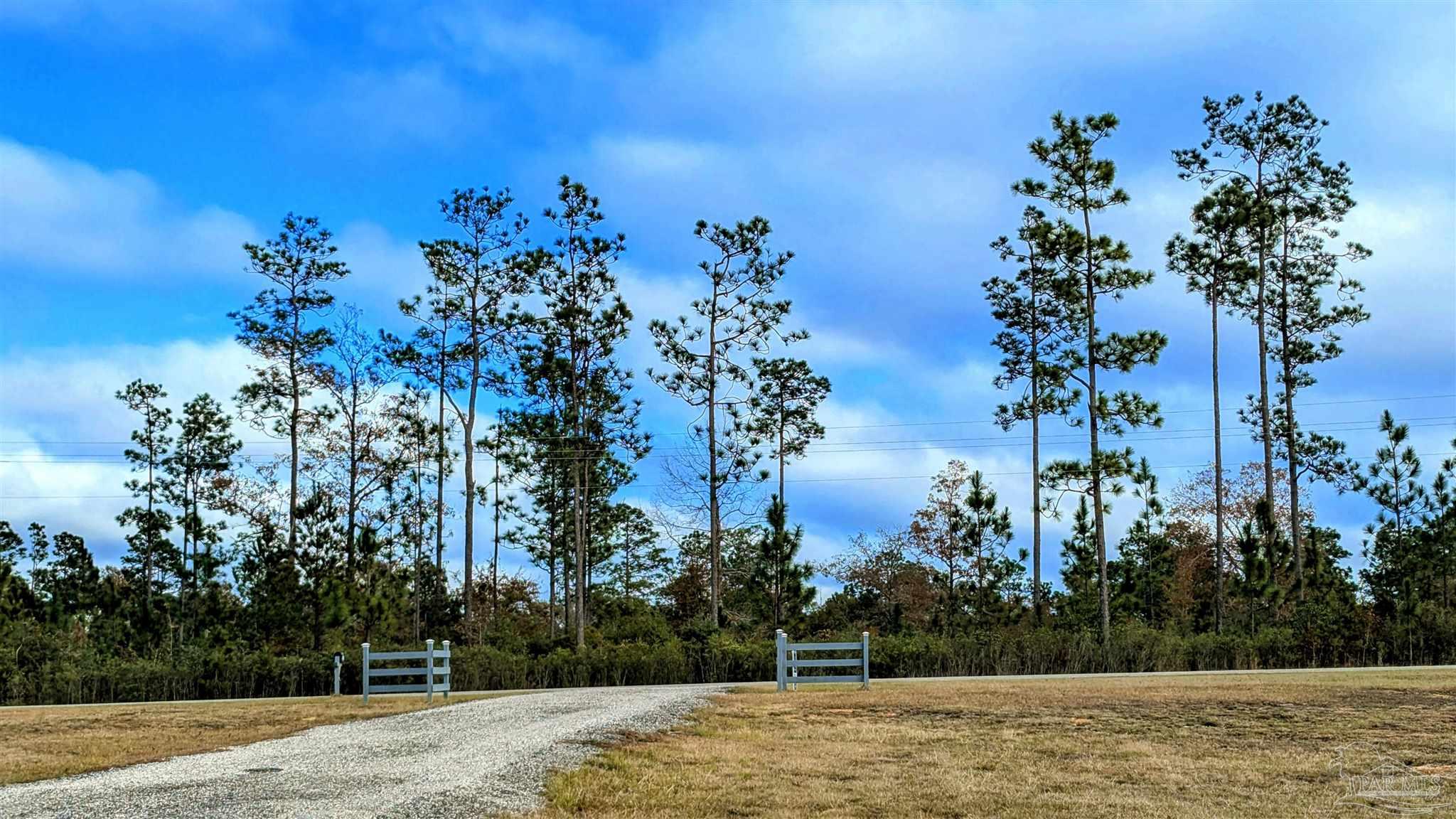 46811 Phillipsville Road Bay Minette, AL 36507 - Photo 63 of 71