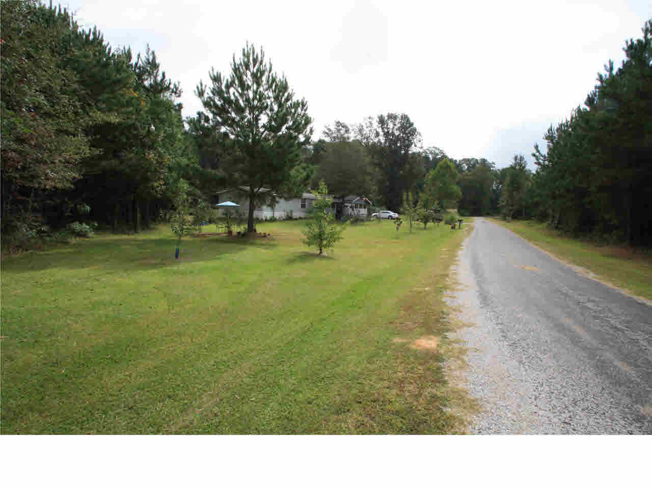 291 Ueltschey Road Morton, MS 39117 - Photo 18 of 20 Photo 18
