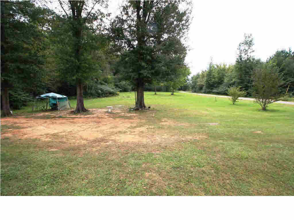 291 Ueltschey Road Morton, MS 39117 - Photo 2 of 20 Photo 2
