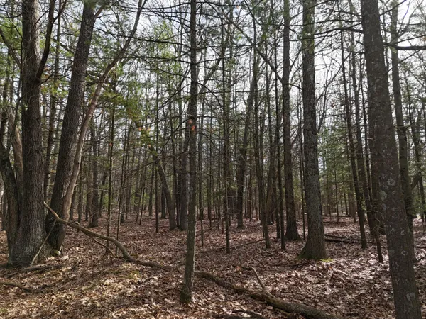 $42,000 | Meadow Wood Drive, Unit 40, Manistee, MI 49660
