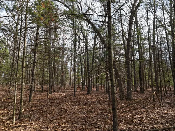 $42,000 | Meadow Wood Drive, Unit 40, Manistee, MI 49660