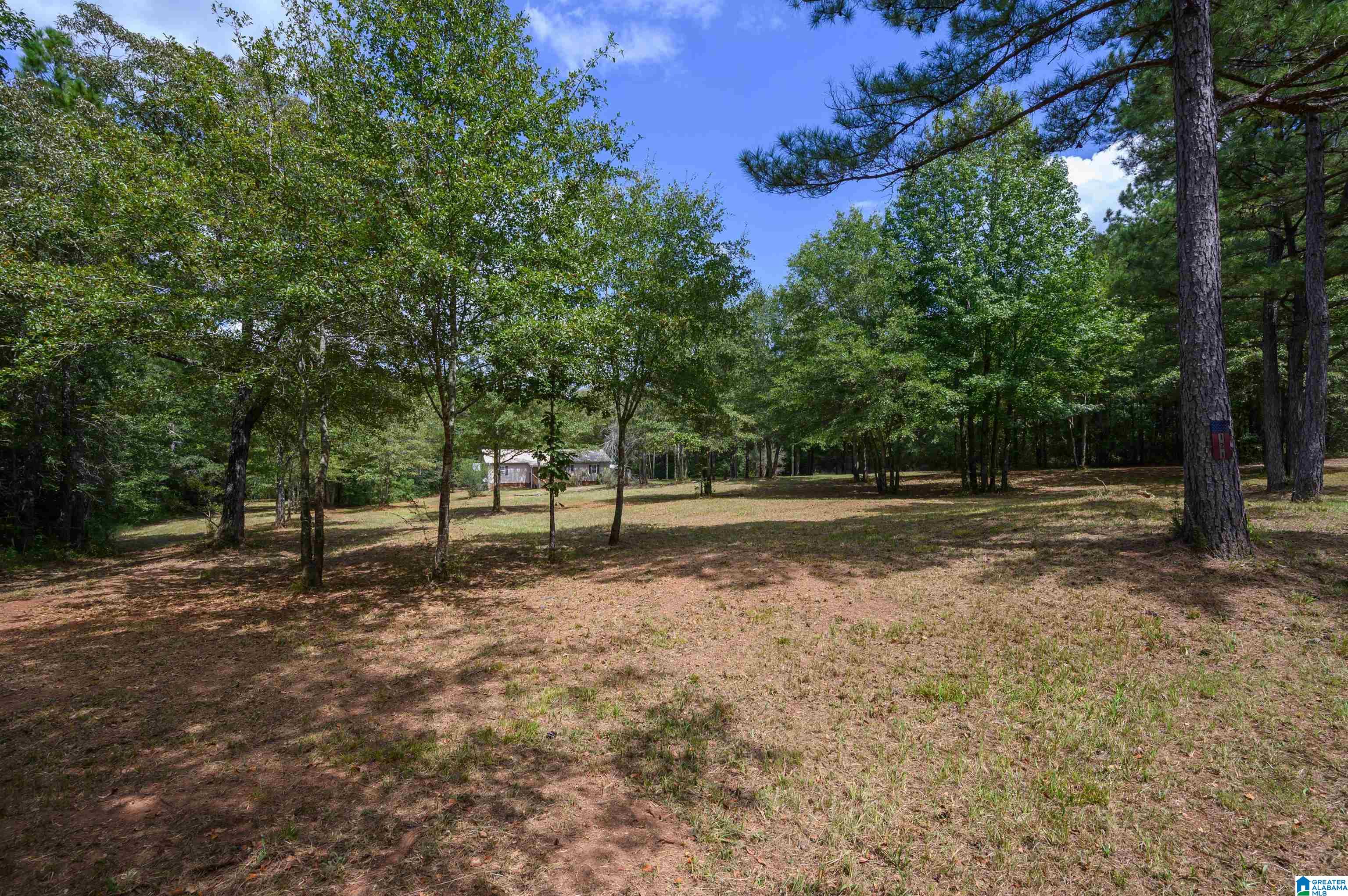 121 Wills Lane Talladega, AL 35160 - Photo 9 of 30