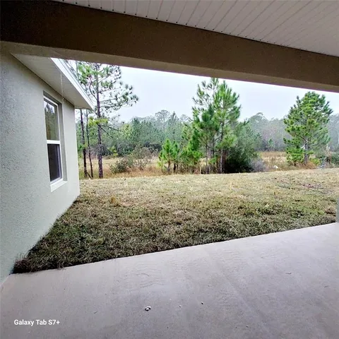a view of a yard with large trees