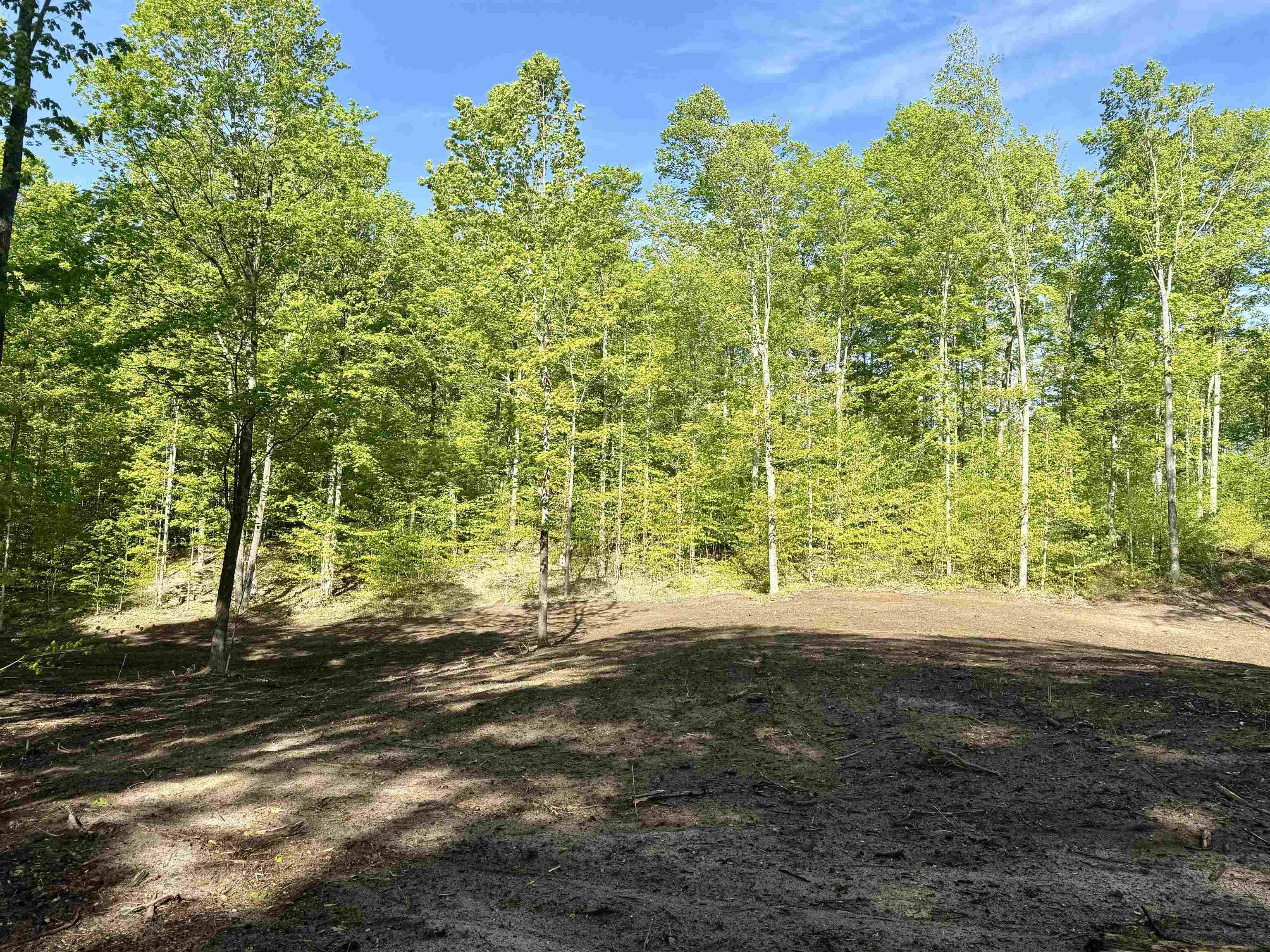 1474 East Solaris Way Traverse City, MI 49684 - Photo 7 of 11 1936713-03DB80B8-AD4C-43B8-BA05-AAA83D8754CE.JPG