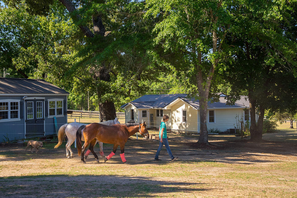 177 Muddy Branch Road Aiken, SC 29805 - Photo 21 of 34