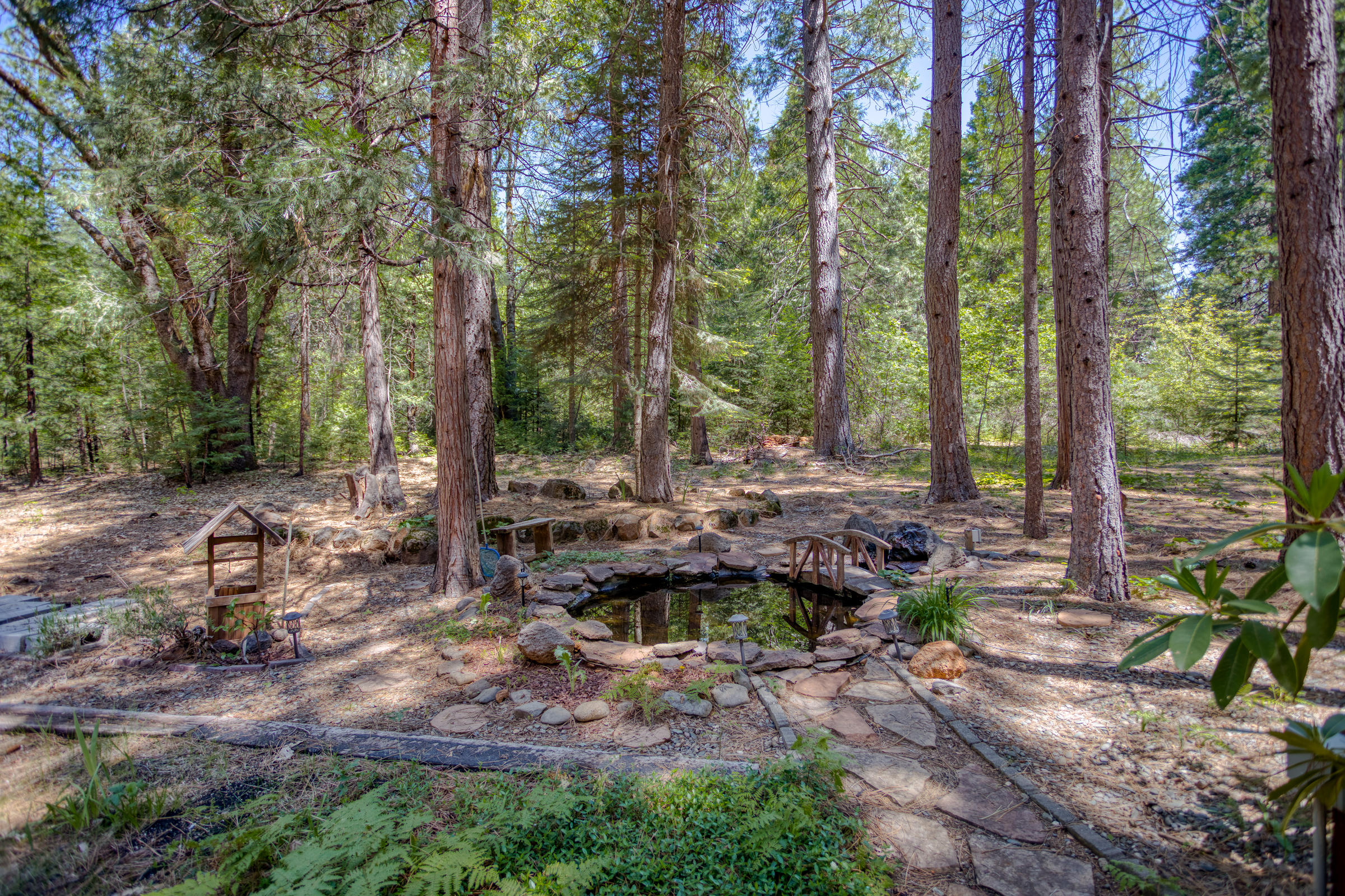 33058 Aleen Road Shingletown, CA 96088 - Photo 28 of 35 Backyard with Pond
