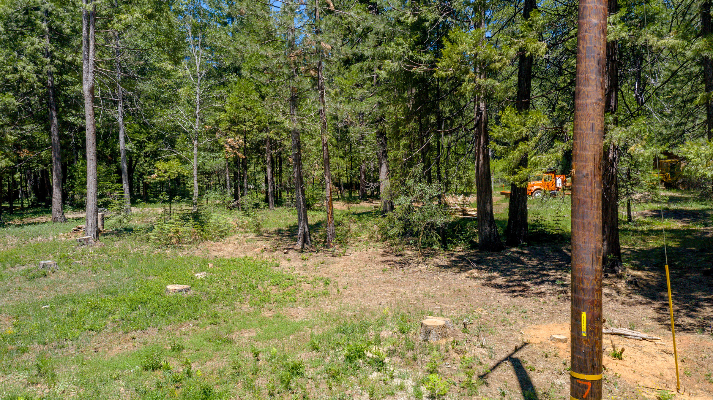 33058 Aleen Road Shingletown, CA 96088 - Photo 35 of 35 Side Yard View