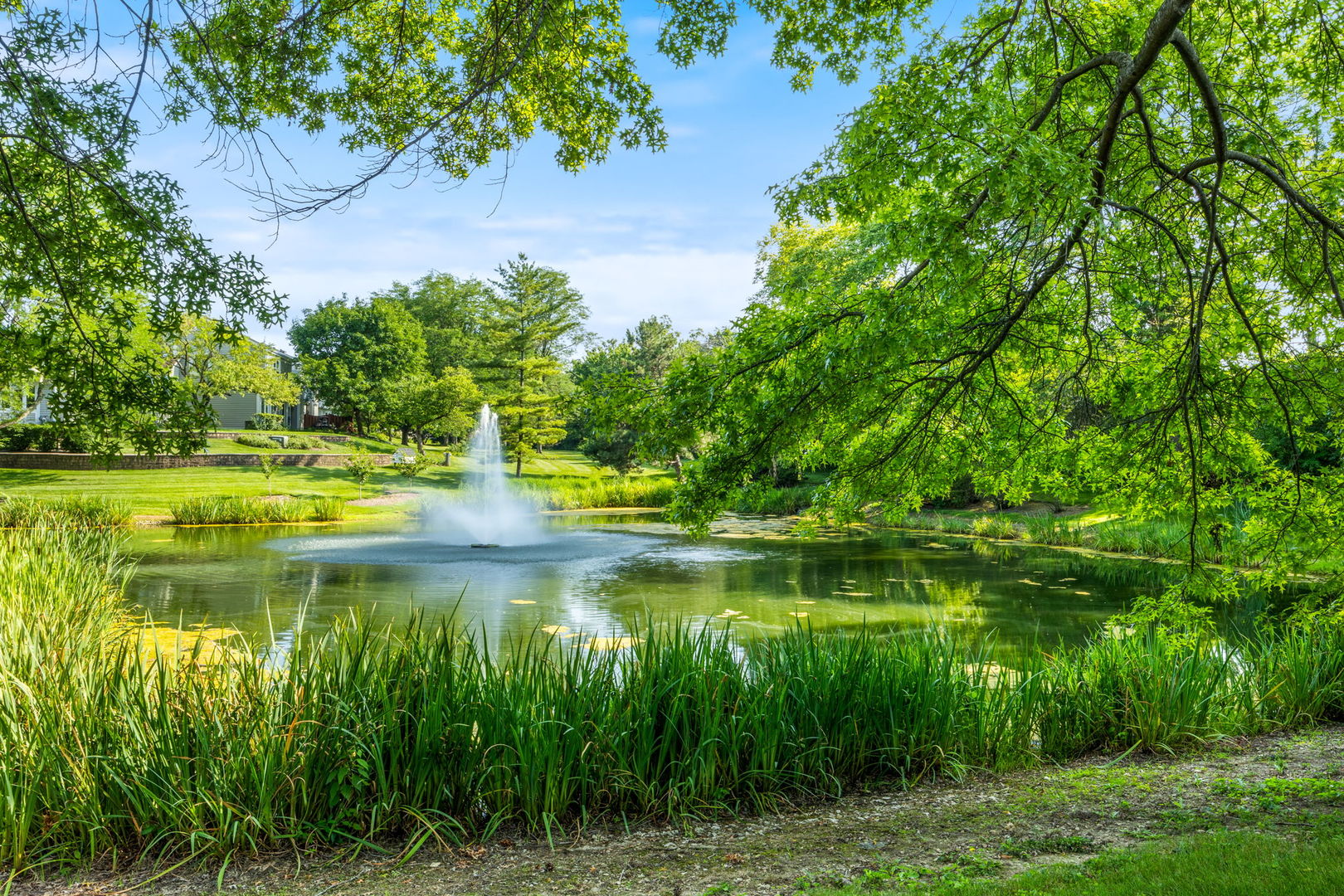 1932 Gresham Circle, Unit C Wheaton, IL 60189 - Photo 23 of 27 a view of a lake view