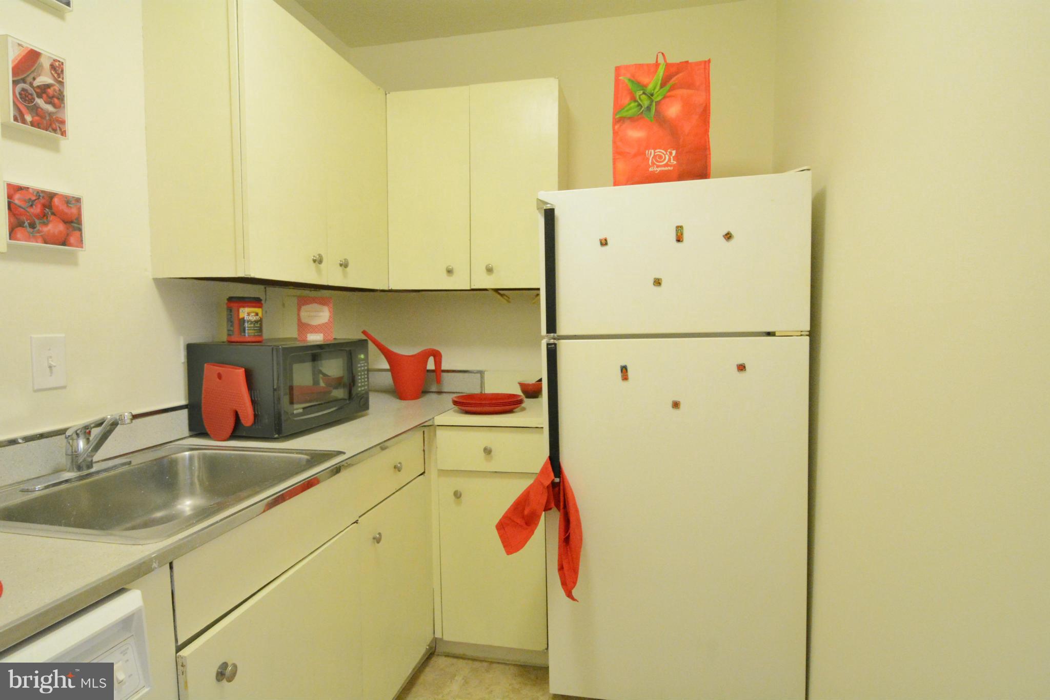 1311 Delaware Avenue Southwest, Unit S435 Washington, DC 20024 - Photo 16 of 29 Kitchen