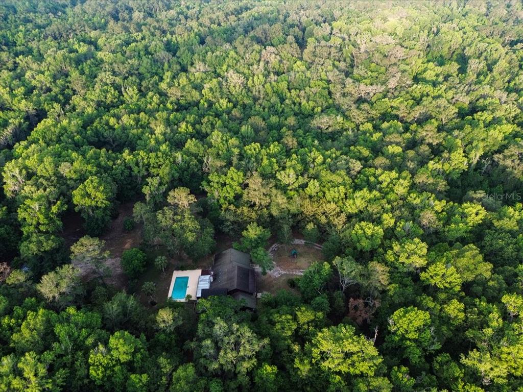 22731 Northwest 91st Court Road Micanopy, FL 32667 - Photo 52 of 56