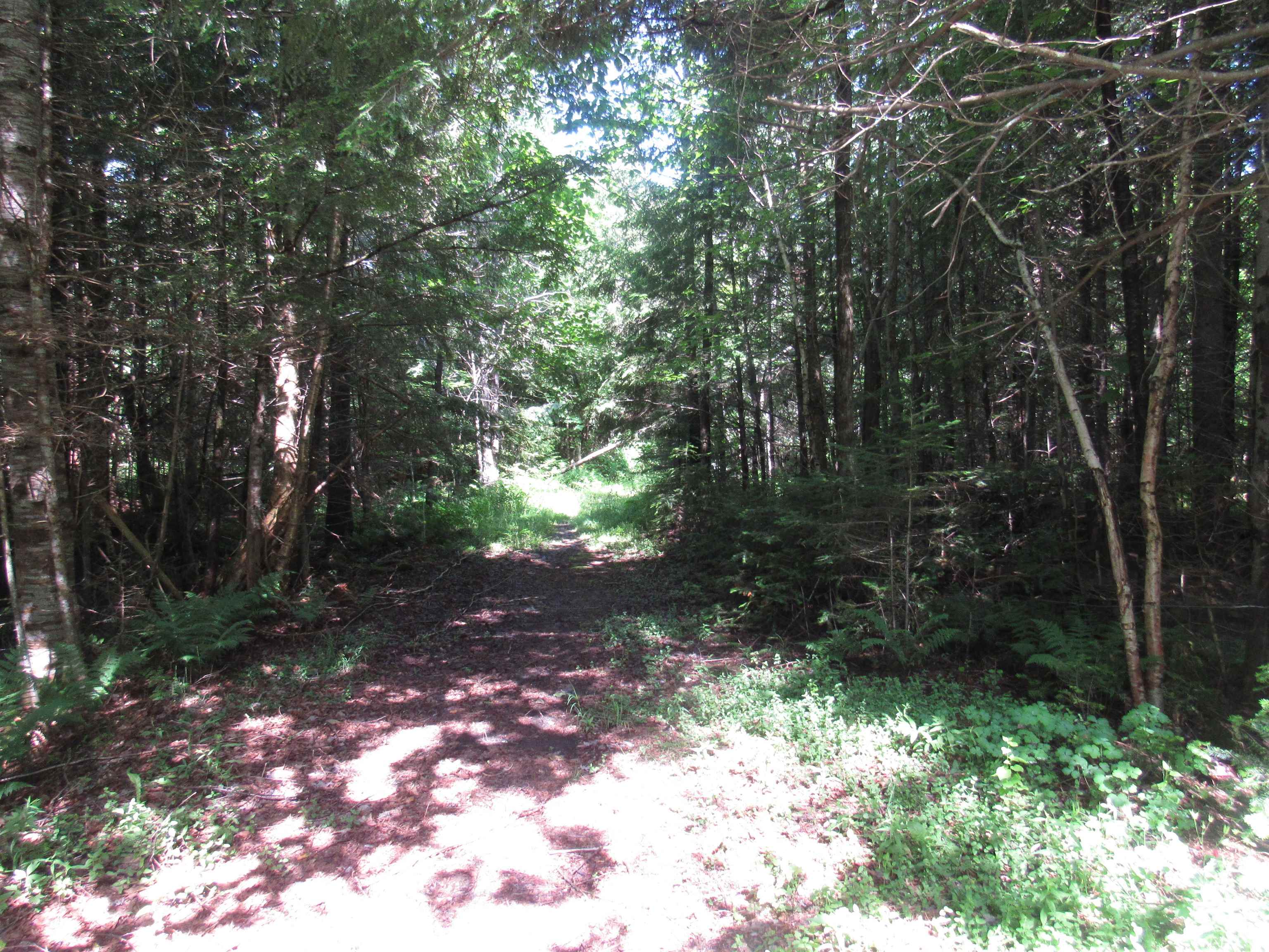 1239 Baldwin Brook Road Wolcott, VT 05680 - Photo 23 of 31